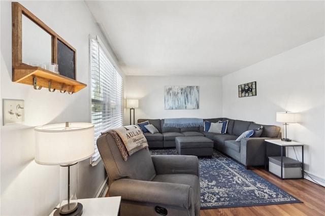 living room featuring dark hardwood / wood-style flooring