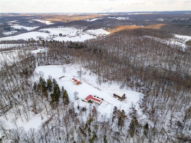 view of snowy aerial view