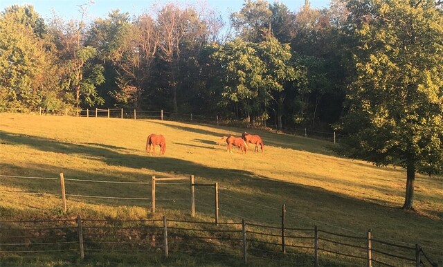 316 Noll Rd, Hanover Twp Bea, PA 15043 - view of property's community with fence and a rural view