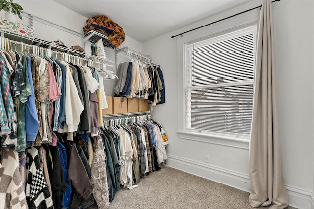 walk in closet featuring carpet floors