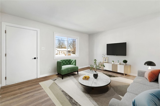 living room with hardwood / wood-style floors