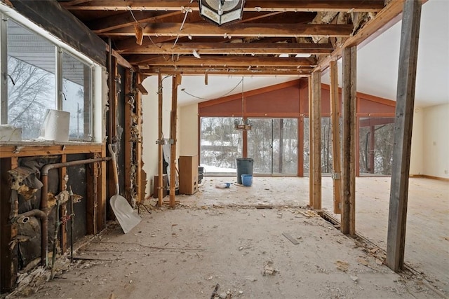 miscellaneous room featuring lofted ceiling