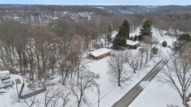 view of snowy aerial view