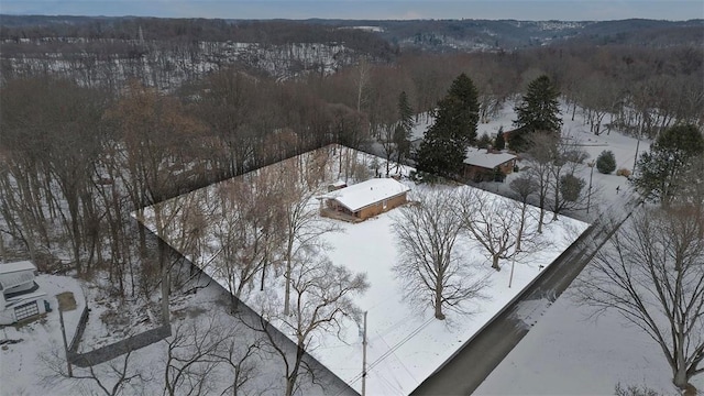 view of snowy aerial view