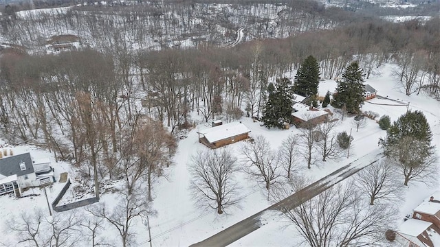 view of snowy aerial view