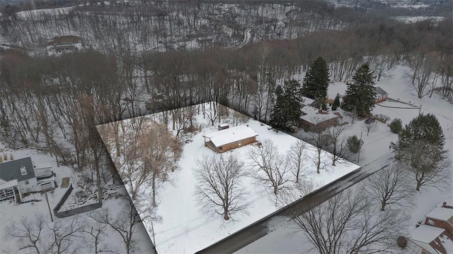 view of snowy aerial view