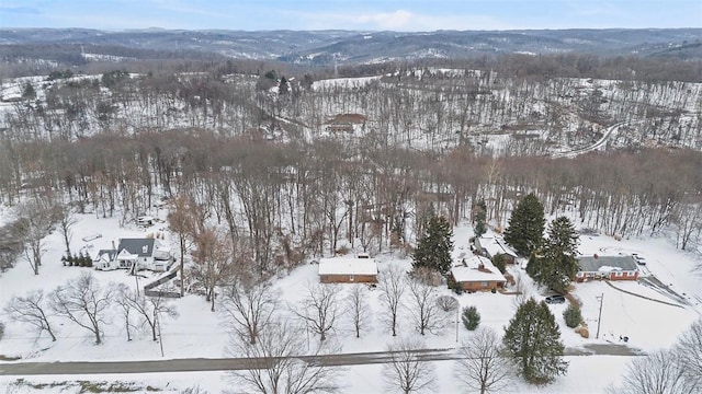 snowy aerial view featuring a mountain view