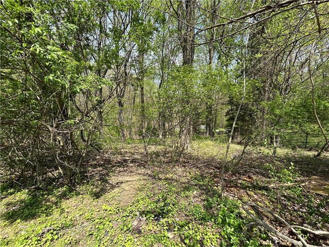 2461 Henry Ln, Franklin Park, PA 15143 - view of wooded area