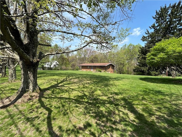 2461 Henry Ln, Franklin Park, PA 15143 - view of grassy yard