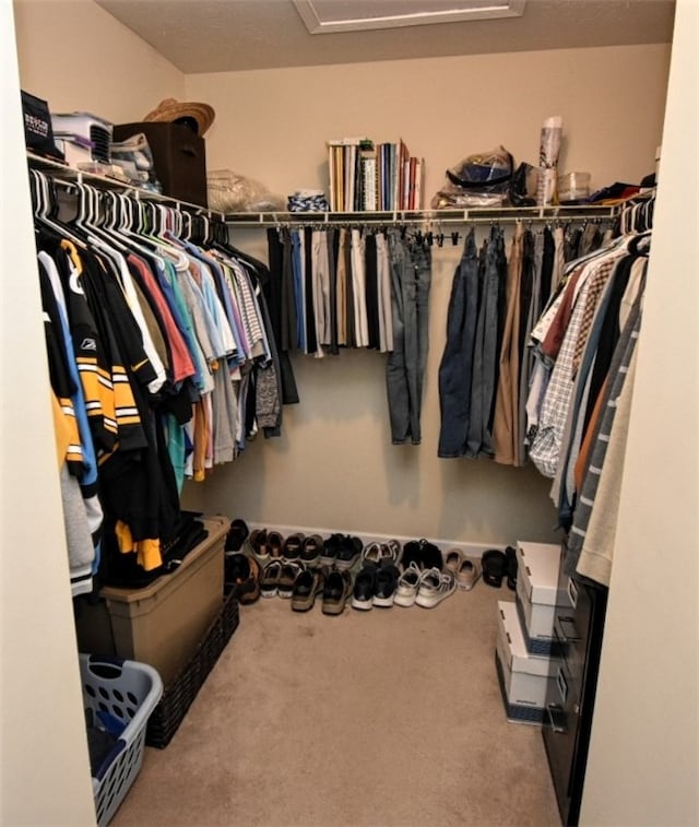 walk in closet featuring carpet