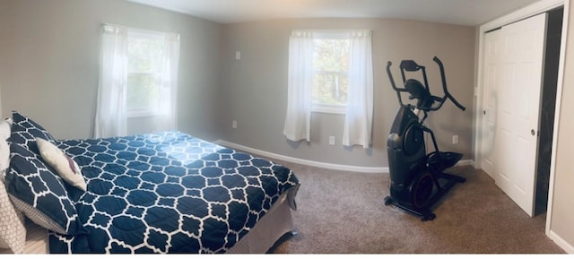 bedroom with carpet floors and a closet