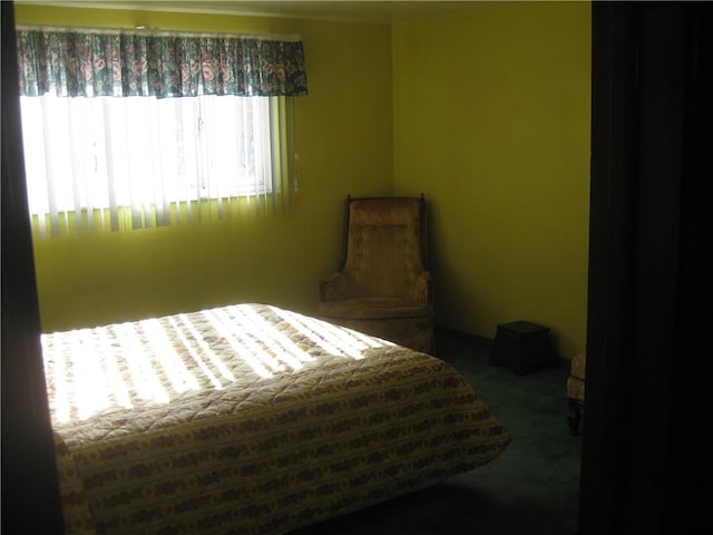 bedroom with dark colored carpet