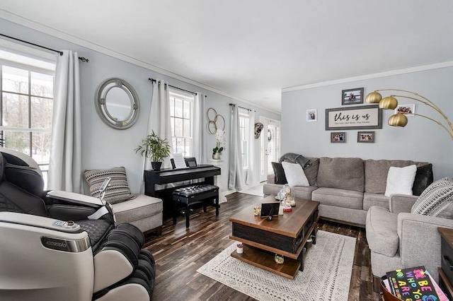 living room with crown molding and dark hardwood / wood-style flooring