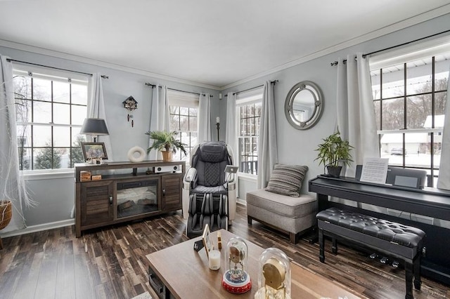 living area featuring dark wood-type flooring and ornamental molding