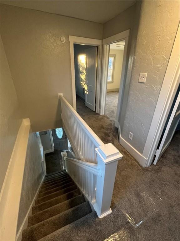 staircase featuring carpet flooring