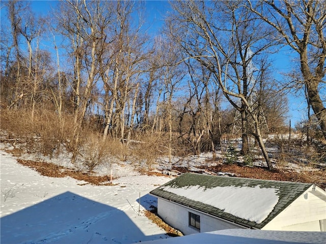 view of yard covered in snow