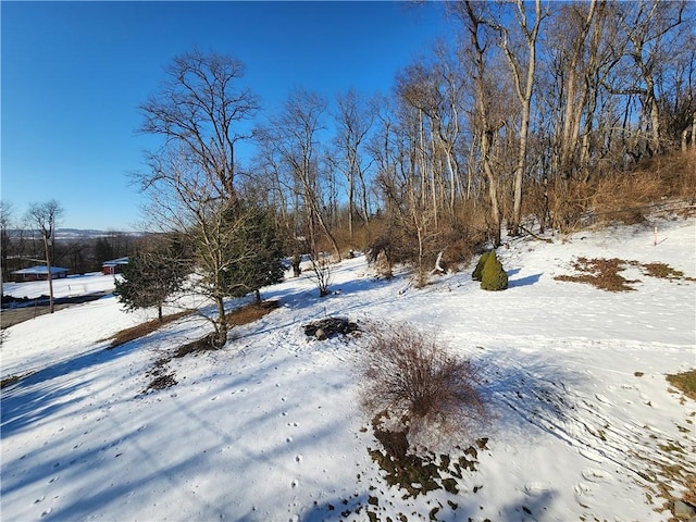 view of yard covered in snow