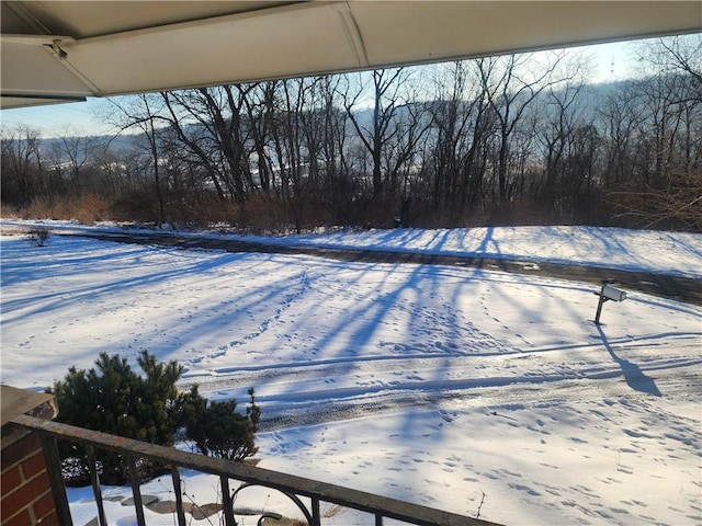 view of snowy yard