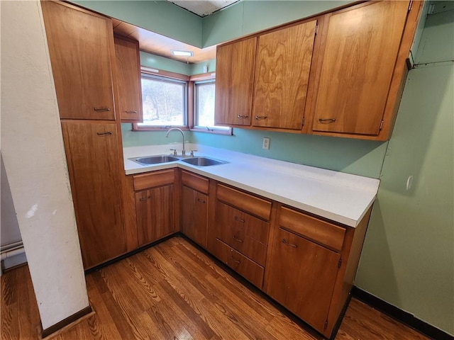 kitchen with hardwood / wood-style flooring and sink