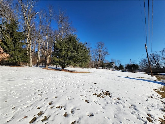 view of yard covered in snow