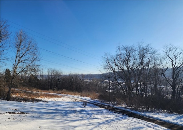 view of yard covered in snow