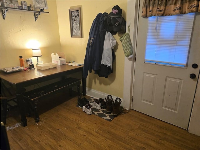 doorway to outside featuring dark wood-type flooring