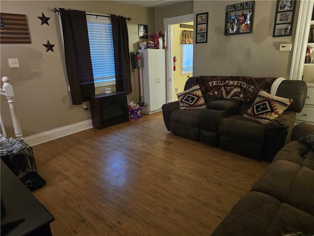 living room with hardwood / wood-style flooring