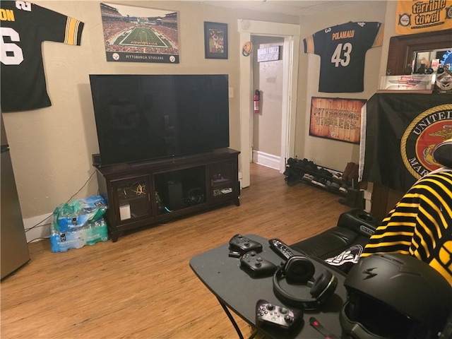 living room with wood-type flooring