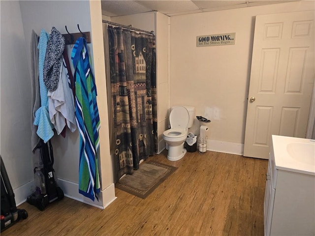 bathroom featuring wood-type flooring, curtained shower, vanity, and toilet