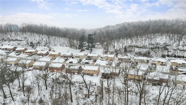 view of snowy aerial view