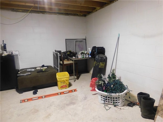 view of unfinished basement