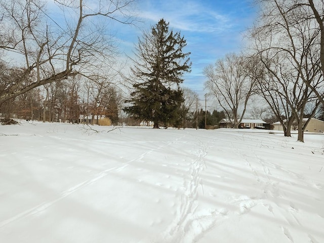 view of snowy yard