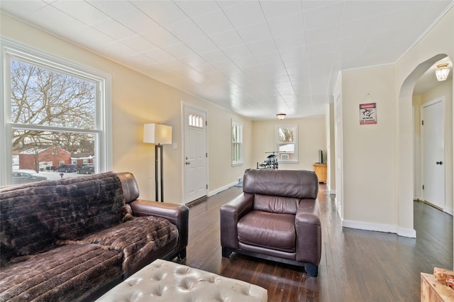 living room with crown molding and dark hardwood / wood-style floors