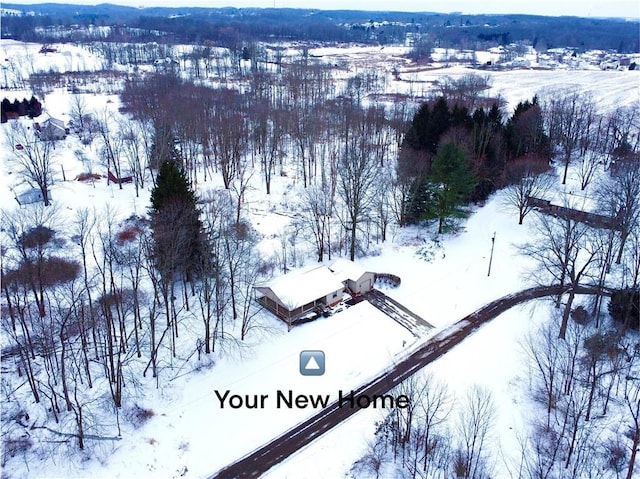 view of snowy aerial view