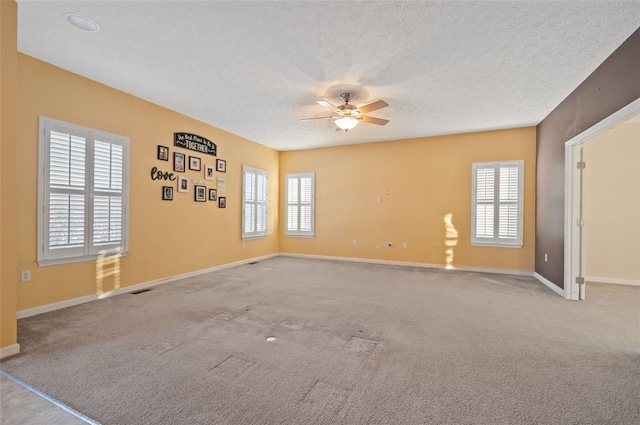 spare room featuring a healthy amount of sunlight, light colored carpet, and a textured ceiling