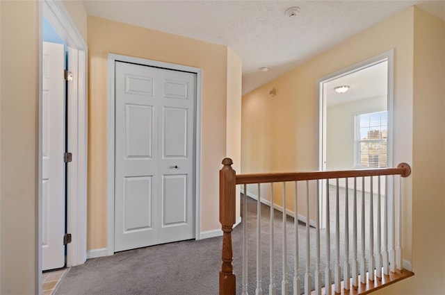 corridor with carpet flooring