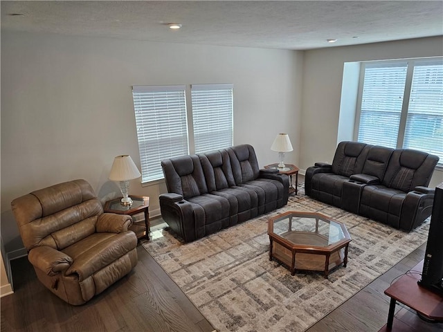 living room featuring hardwood / wood-style flooring and a healthy amount of sunlight