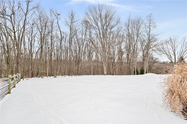 view of yard covered in snow