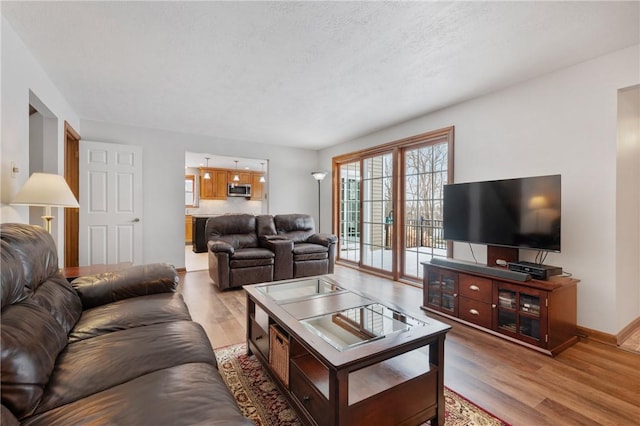 living room with wood-type flooring