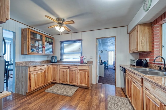 kitchen with sink, stainless steel dishwasher, hardwood / wood-style floors, and ceiling fan