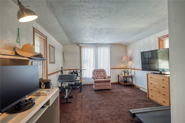 carpeted office space with lofted ceiling and a textured ceiling