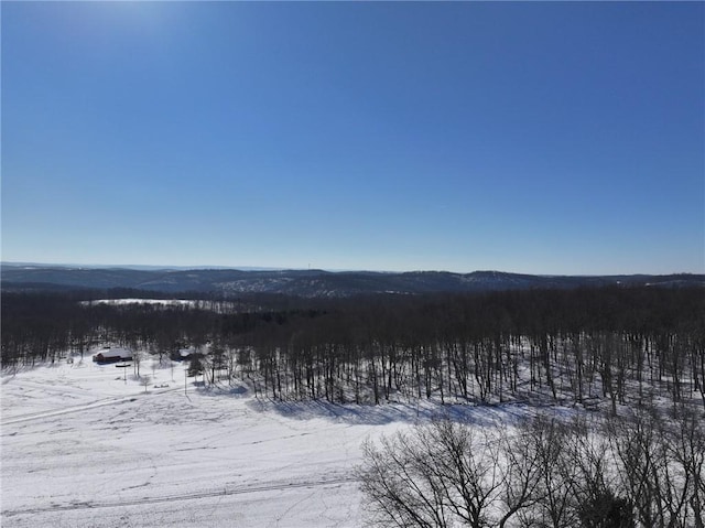 view of mountain feature