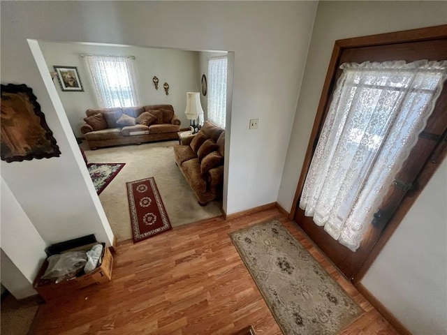 entrance foyer featuring hardwood / wood-style floors