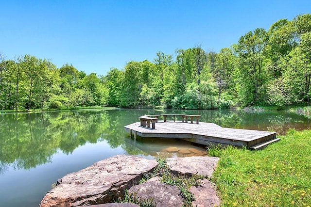 dock area featuring a water view