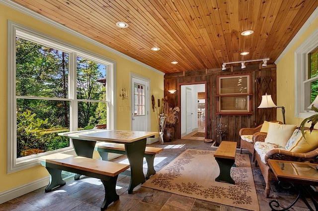 sitting room featuring crown molding, track lighting, wood ceiling, and wood walls