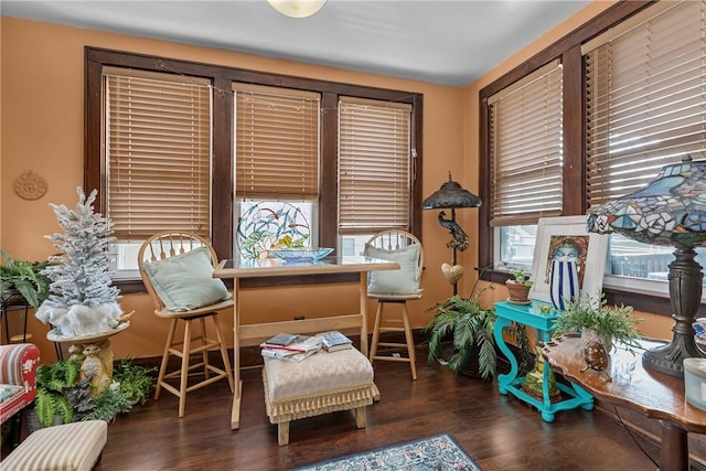 living area with plenty of natural light and dark hardwood / wood-style floors