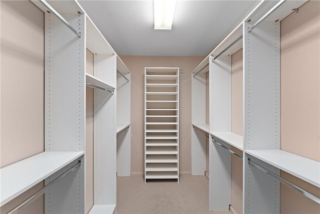 walk in closet with light carpet