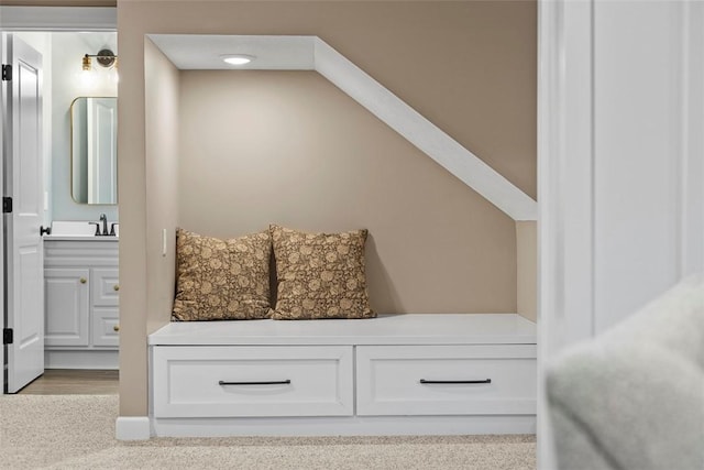 mudroom featuring sink