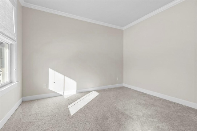 carpeted empty room with ornamental molding