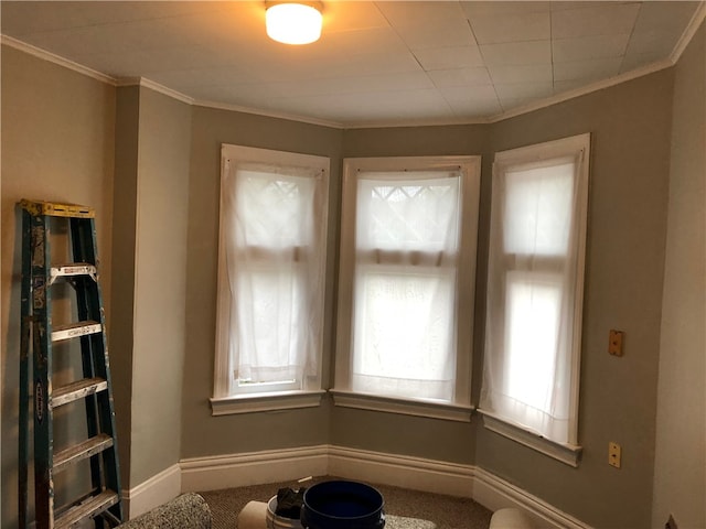 interior space featuring carpet floors and ornamental molding